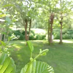 Les Mancellieres Avrille (Vendee)