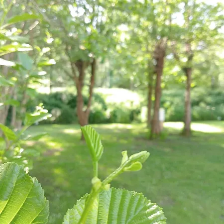 Les Mancellieres Avrillé