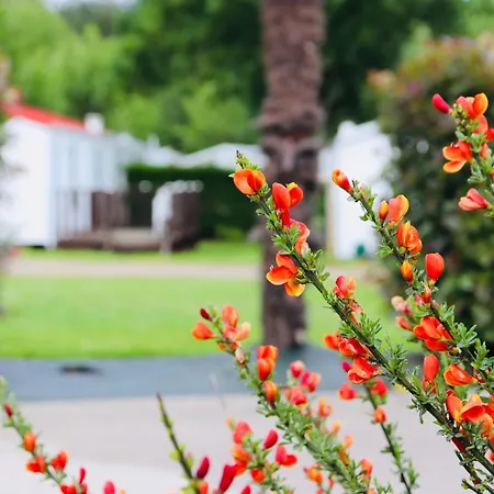 Les Mancellieres Avrillé