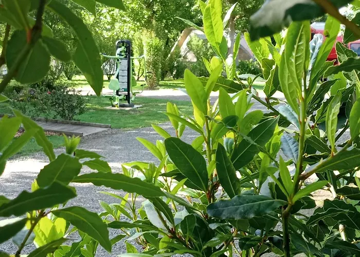 Kemping Les Mancellieres Avrillé