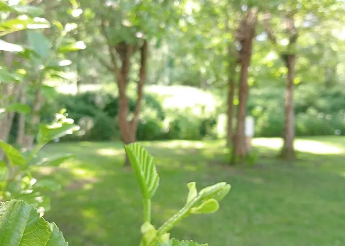 Les Mancellieres Avrillé